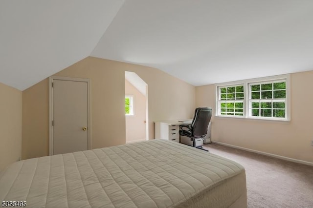 1178 Delaware Dr, Bridgewater Twp, NJ 08807 - carpeted bedroom with multiple windows, vaulted ceiling, and baseboards