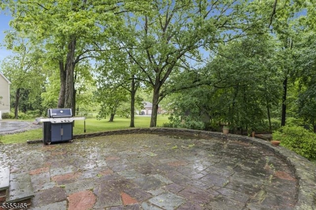 1178 Delaware Dr, Bridgewater Twp, NJ 08807 - view of patio featuring a grill