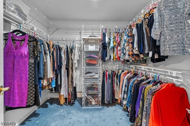 walk in closet featuring carpet floors