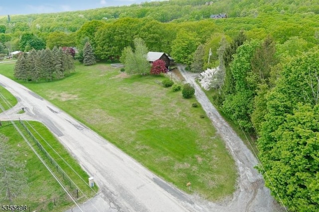 bird's eye view of a forest