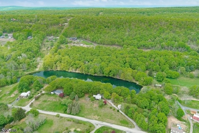 aerial view of property's location with a forest and a large body of water