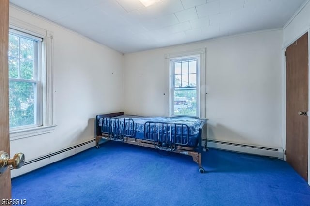 bedroom with carpet flooring and multiple windows