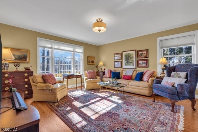 living area featuring a healthy amount of sunlight and wood finished floors