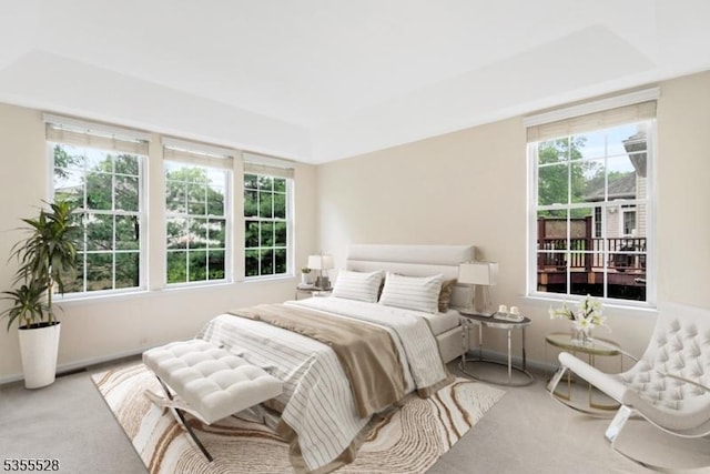 9 Apgar Ct, Raritan Twp, NJ 08822 - carpeted bedroom with baseboards