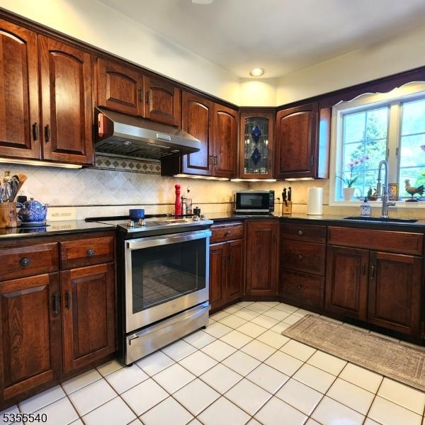 202 Fredon Springdale Rd, Fredon Twp, NJ 07860 - kitchen featuring under cabinet range hood, a sink, backsplash, dark countertops, and appliances with stainless steel finishes