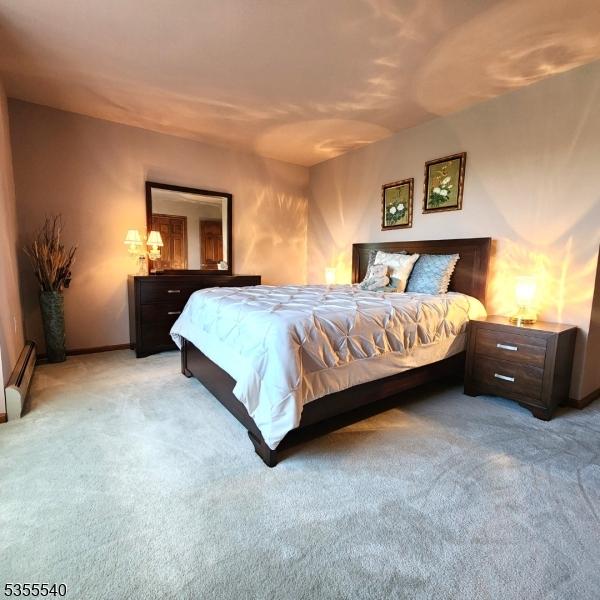 202 Fredon Springdale Rd, Fredon Twp, NJ 07860 - bedroom with baseboards, light carpet, and a baseboard radiator