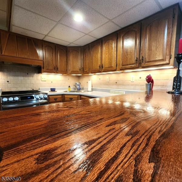 202 Fredon Springdale Rd, Fredon Twp, NJ 07860 - kitchen with stainless steel gas range, backsplash, a sink, and a paneled ceiling