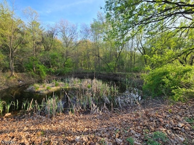 133 River Rd, Montague Twp, NJ 07827 - view of woods