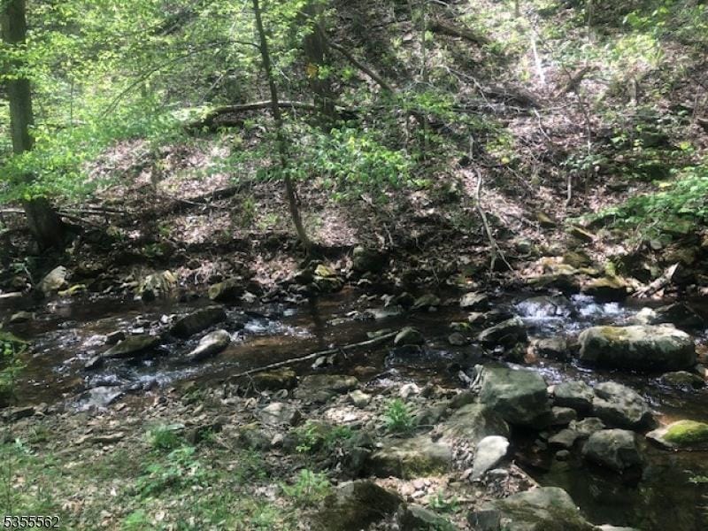 view of local wilderness