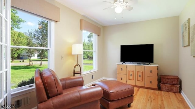 10 Stacy Dr, Montgomery Twp, NJ 08502 - living area with ceiling fan, light wood-style flooring, and baseboards