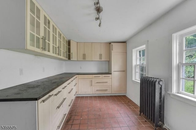 29 S Valley Rd, West Orange Twp, NJ 07052 - kitchen featuring radiator, healthy amount of natural light, dark countertops, and glass insert cabinets
