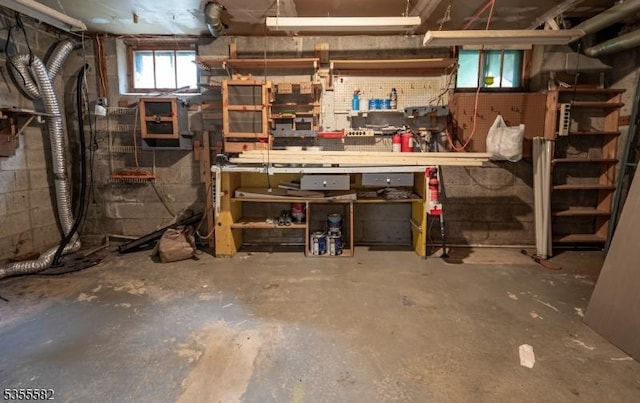 below grade area with a workshop area