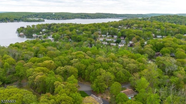 bird's eye view of a large body of water and a heavily wooded area