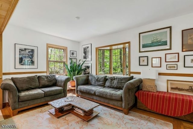 living area featuring wood finished floors