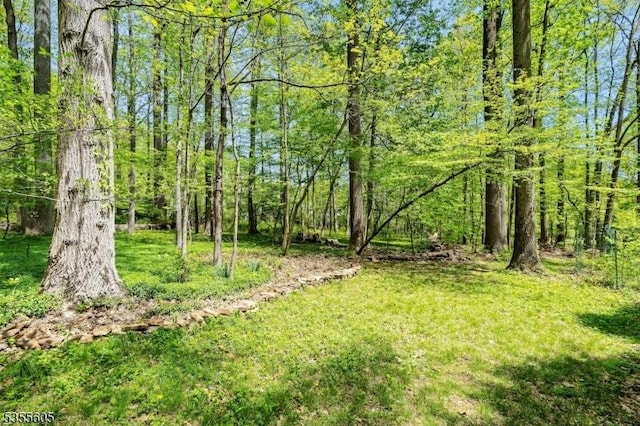 view of green lawn with a forest view