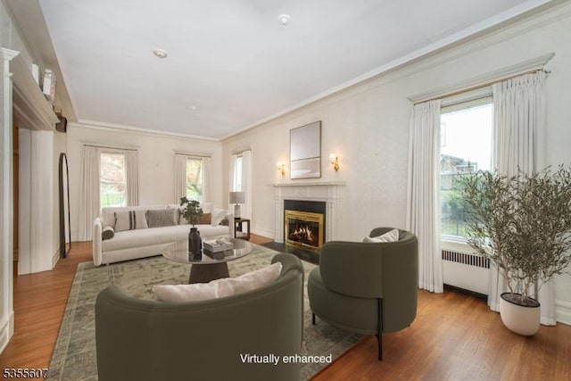 living area with a fireplace with flush hearth, wood finished floors, crown molding, and radiator