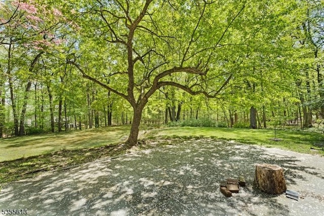 view of yard featuring a forest view