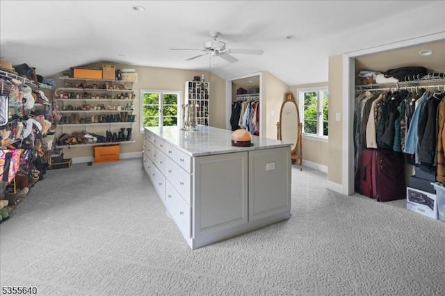 1330 Great Rd, Montgomery Twp, NJ 08540 - walk in closet featuring lofted ceiling, a ceiling fan, and light carpet