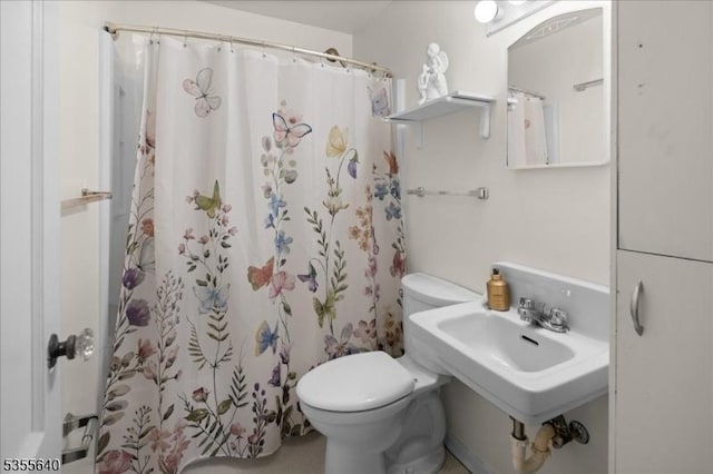 1330 Great Rd, Montgomery Twp, NJ 08540 - bathroom with toilet, curtained shower, and a sink