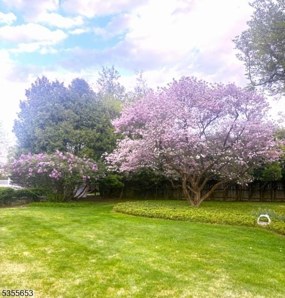 26 Brandywine Rd, Wayne Twp, NJ 07470 - view of green lawn