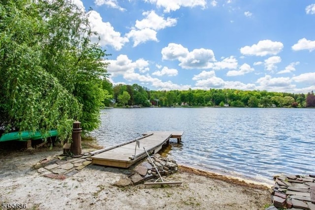 40 Hemlock Ave, Andover Twp, NJ 07860 - dock with a water view and a wooded view