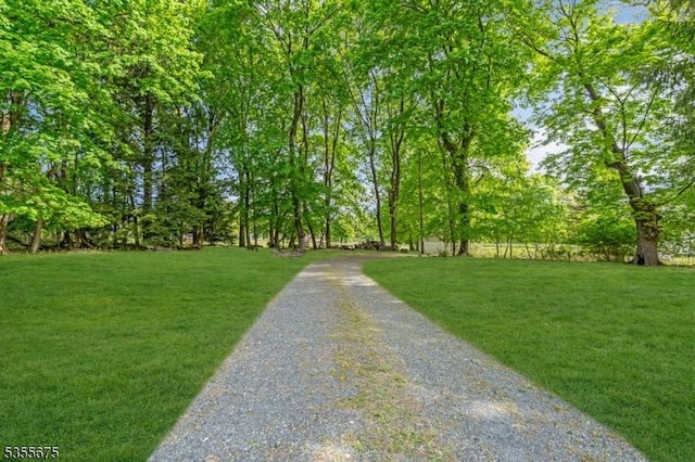 view of home's community with a lawn and gravel driveway