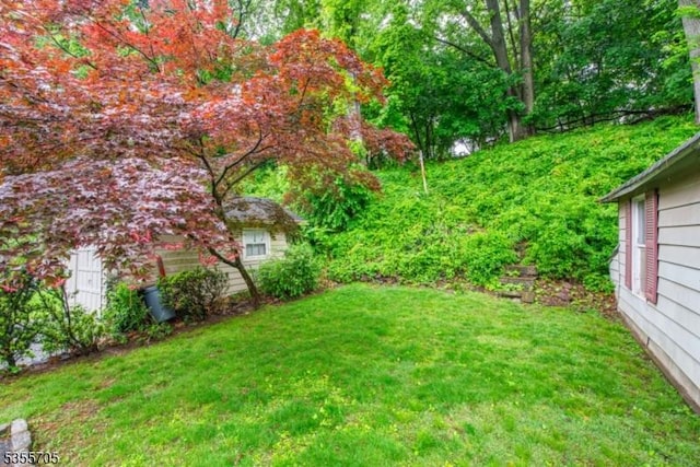 view of green lawn