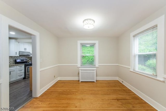 spare room featuring plenty of natural light, light wood-style flooring, and baseboards