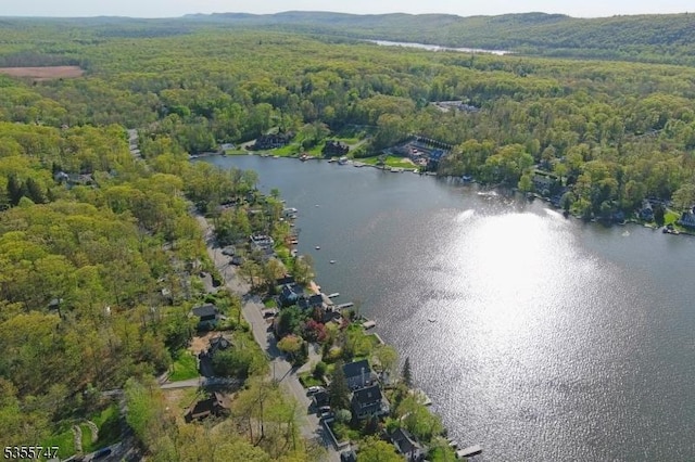 55 E Shore Culver Rd, Frankford Twp, NJ 07826 - aerial view featuring a water view and a forest view