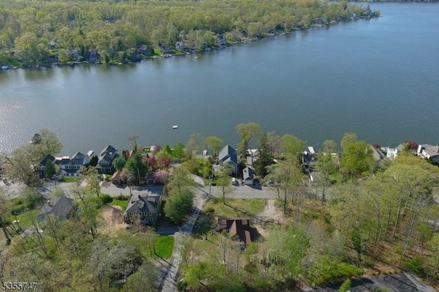55 E Shore Culver Rd, Frankford Twp, NJ 07826 - bird's eye view with a water view and a view of trees
