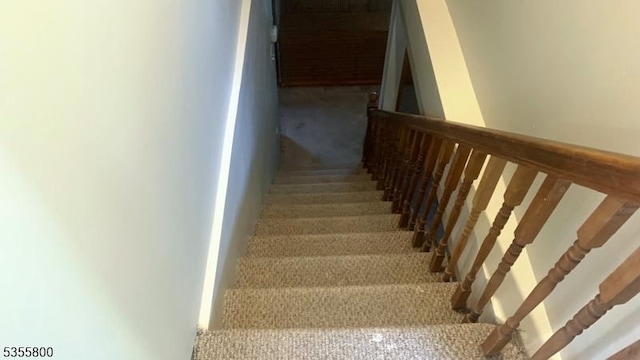 315 Tulsa Trl, Hopatcong Boro, NJ 07843 - staircase with carpet