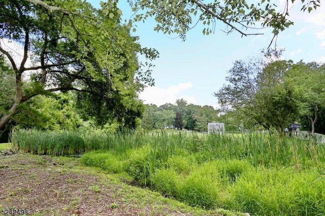 35 Ricker Dr, Ringwood Boro, NJ 07456