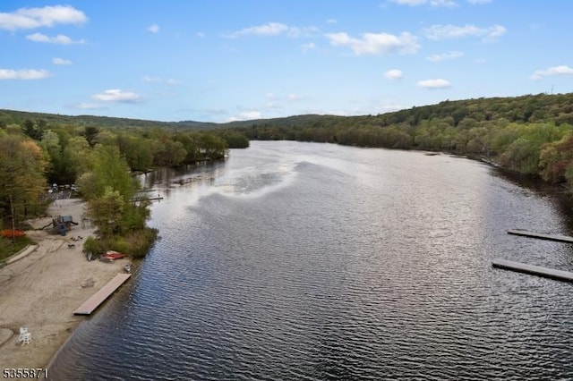 water view featuring a forest