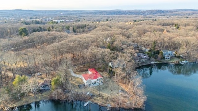 34 W Shore Rd, Mountain Lakes Boro, NJ 07046 - aerial overview of property's location with a large body of water