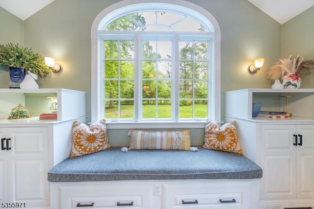 mudroom with lofted ceiling and plenty of natural light