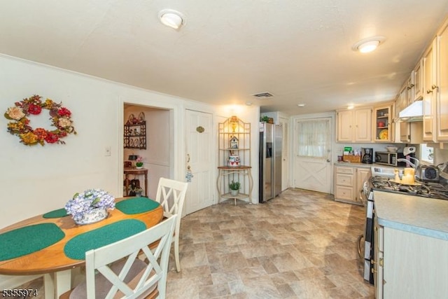 kitchen with appliances with stainless steel finishes, exhaust hood, and light countertops
