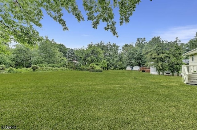 45 Ninth St, Hillsborough Twp, NJ 08821 - view of green lawn