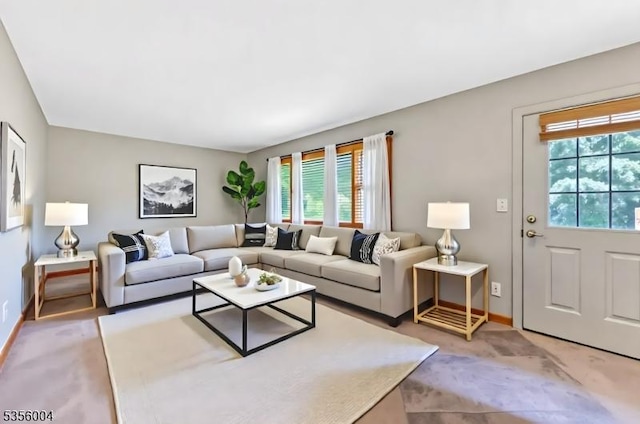 45 Ninth St, Hillsborough Twp, NJ 08821 - living room with healthy amount of natural light and light colored carpet