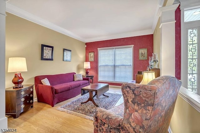 326 Biltmore Ln, Franklin Twp, NJ 08873 - living area featuring light wood-style flooring, plenty of natural light, crown molding, and baseboards