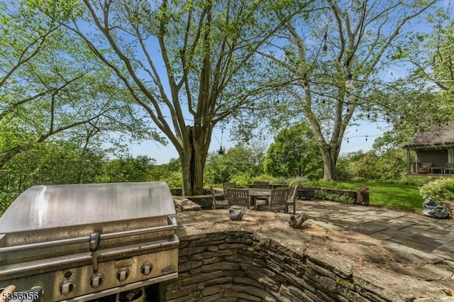 12 Woodland Rd, Franklin Twp, NJ 08867 - view of patio / terrace with area for grilling