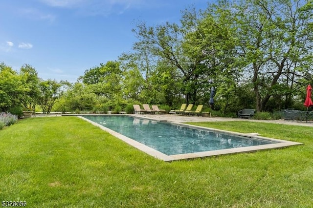 12 Woodland Rd, Franklin Twp, NJ 08867 - swimming pool featuring a lawn