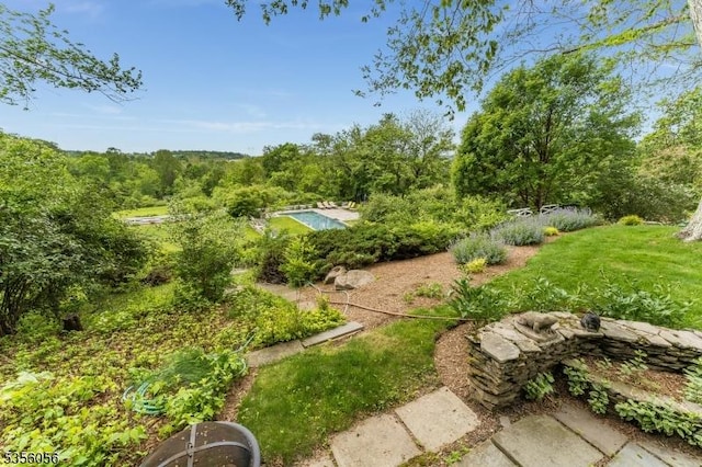 12 Woodland Rd, Franklin Twp, NJ 08867 - view of yard featuring a forest view