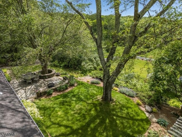 12 Woodland Rd, Franklin Twp, NJ 08867 - view of green lawn with a wooded view