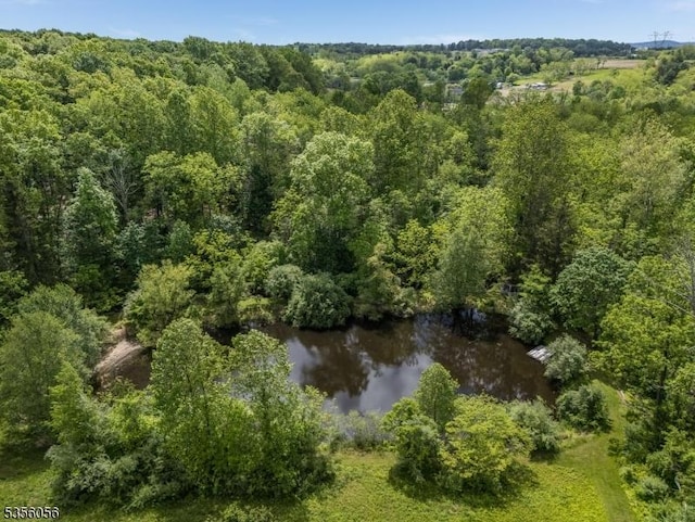 12 Woodland Rd, Franklin Twp, NJ 08867 - aerial overview of property's location featuring a forest and a nearby body of water