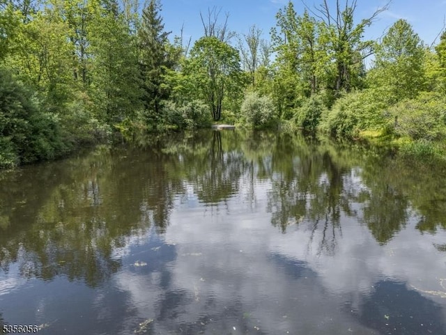 12 Woodland Rd, Franklin Twp, NJ 08867 - water view