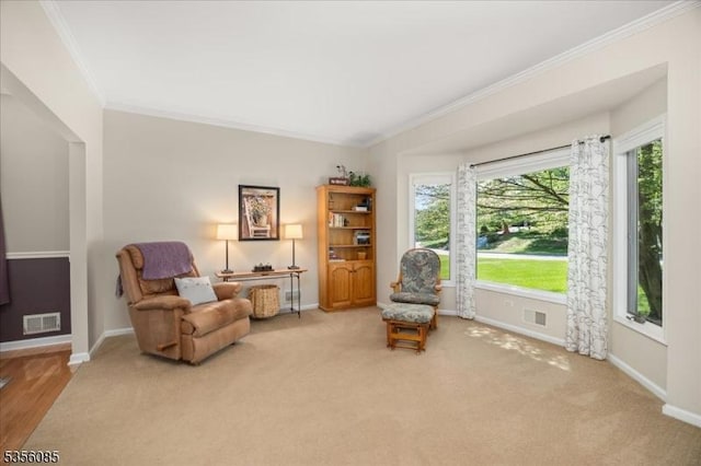 living area featuring crown molding, baseboards, and carpet floors