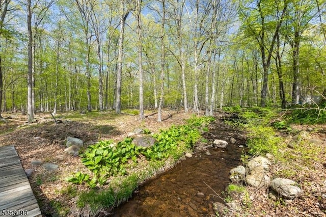 19 Oak Rd, Boonton Twp, NJ 07005 - view of nature