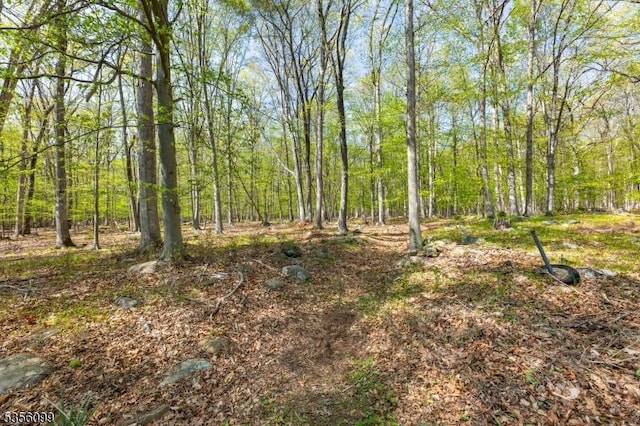 19 Oak Rd, Boonton Twp, NJ 07005 - view of wooded area