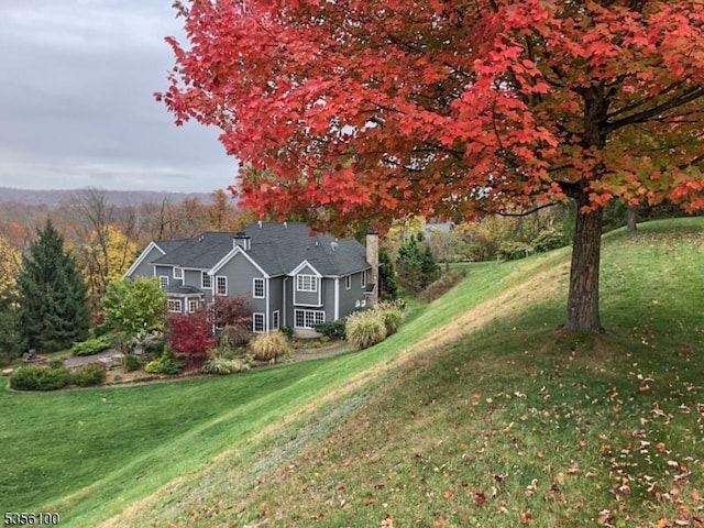 view of green lawn