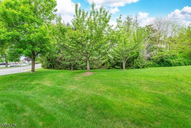 view of green lawn